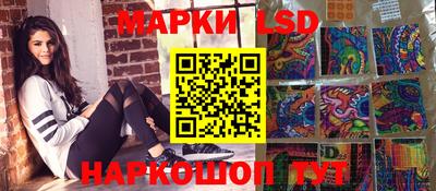 индика Гусев