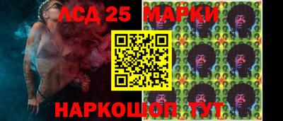 индика Гусев
