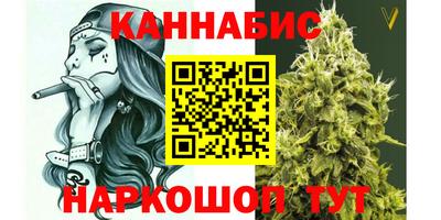 индика Гусев