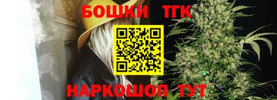индика Гусев