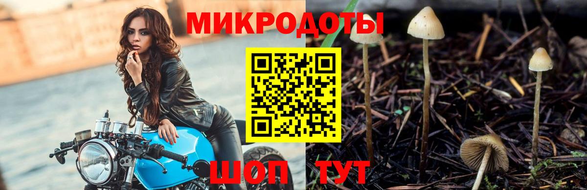 Галлюциногенные грибы мицелий Кимовск