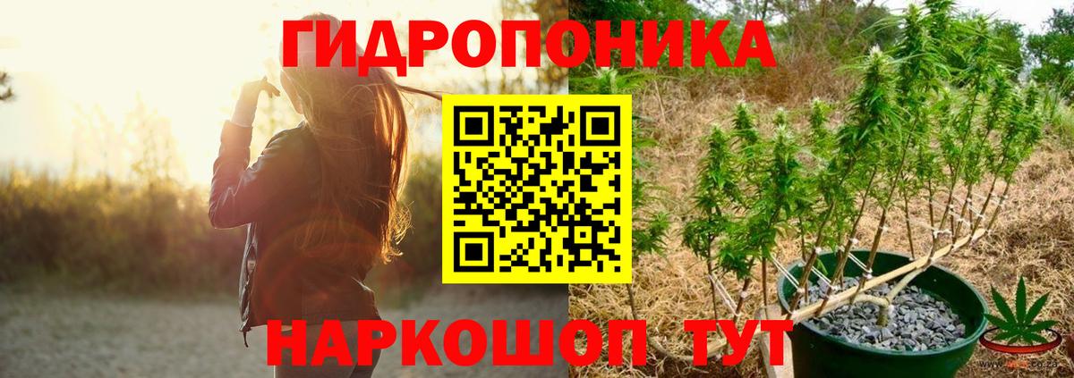 Конопля планчик  Вход с VPN  Бошки Шишки OG Kush  Шишки марихуана тримм  Бошки марихуана тримм  Кимовск 